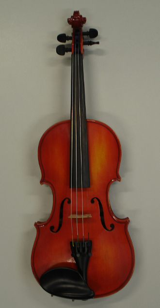 Originalfoto einer Geige.